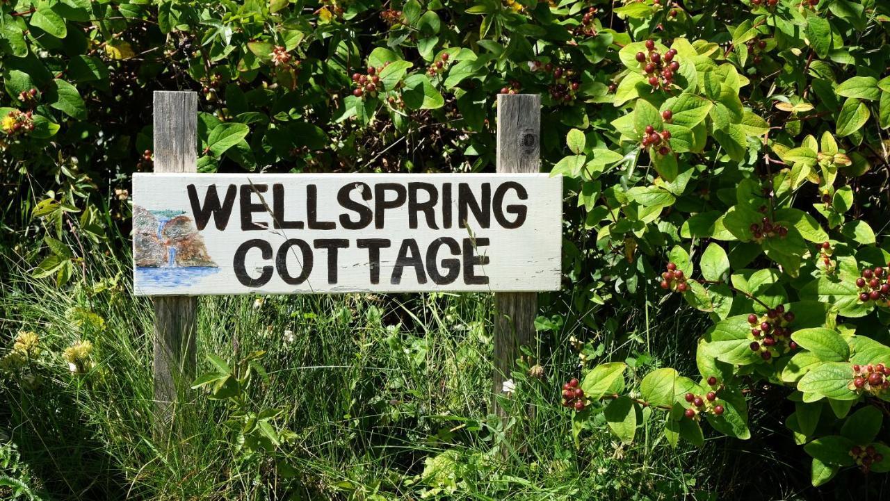 Wellspring Cottage Nr Kynance Cove ลิซาร์ด ภายนอก รูปภาพ