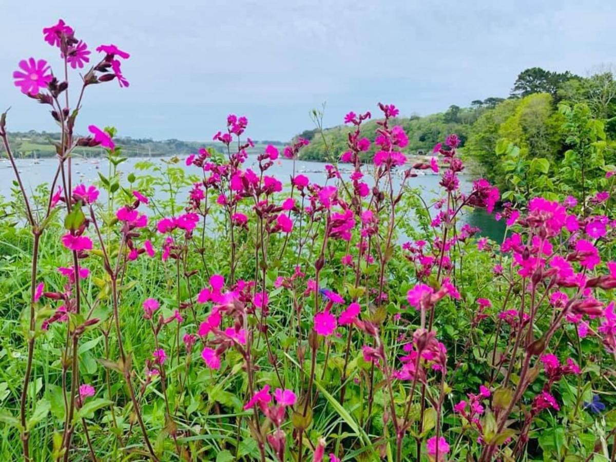 Wellspring Cottage Nr Kynance Cove ลิซาร์ด ภายนอก รูปภาพ